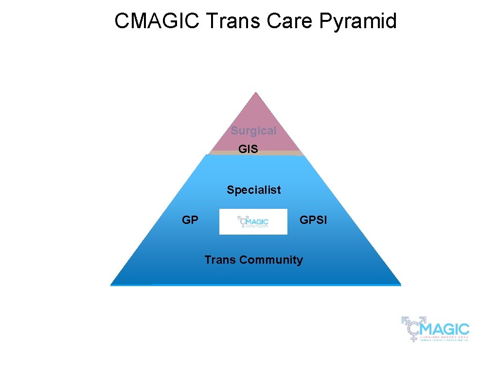 CMAGIC Trans Care Pyramid Surgical GIS Medical Specialist GP Psychology GPSI Identity Trans Community