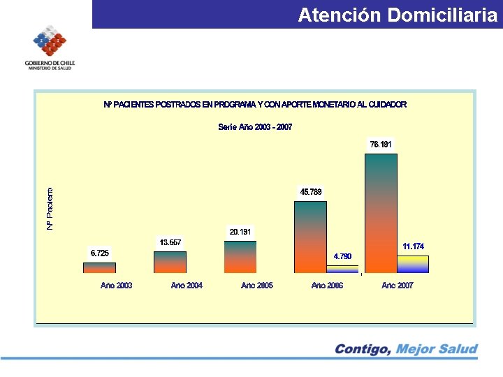 Atención Domiciliaria 