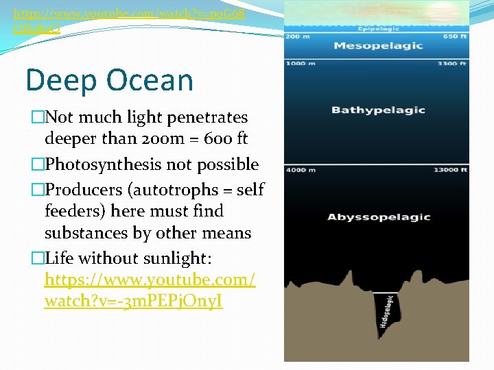 https: //www. youtube. com/watch? v=p 0 G 68 ORc 8 u. Q Deep Ocean