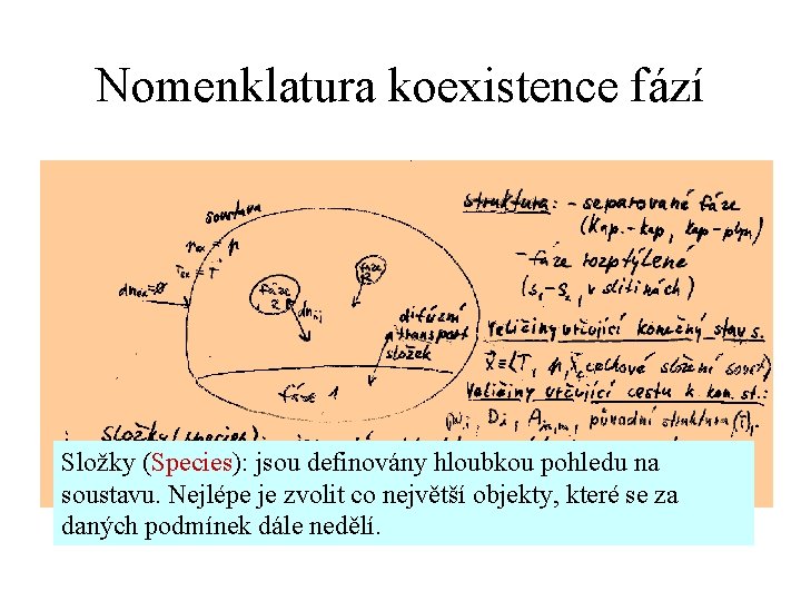 Nomenklatura koexistence fází Složky (Species): jsou definovány hloubkou pohledu na soustavu. Nejlépe je zvolit