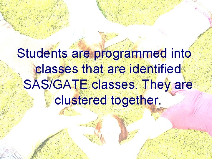 CLUSTERING STUDENTS Students are programmed into classes that are identified SAS/GATE classes. They are