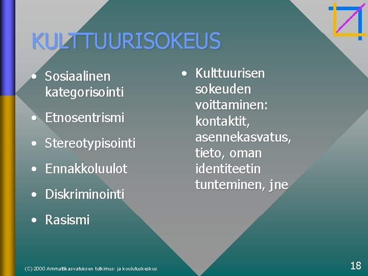 KULTTUURISOKEUS • Sosiaalinen kategorisointi • Etnosentrismi • Stereotypisointi • Ennakkoluulot • Diskriminointi • Kulttuurisen