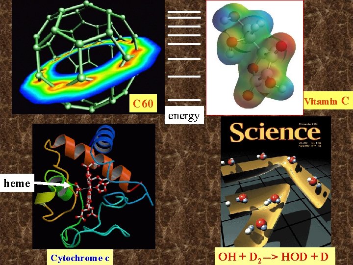 C 60 Vitamin C energy heme Cytochrome c OH + D 2 --> HOD C 60 Vitamin C energy heme Cytochrome c OH + D 2 --> HOD