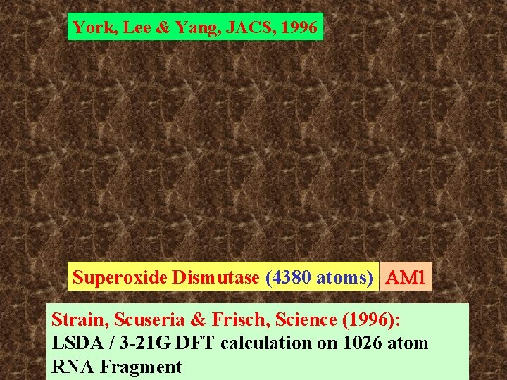 York, Lee & Yang, JACS, 1996 Superoxide Dismutase (4380 atoms) AM 1 Strain, Scuseria York, Lee & Yang, JACS, 1996 Superoxide Dismutase (4380 atoms) AM 1 Strain, Scuseria