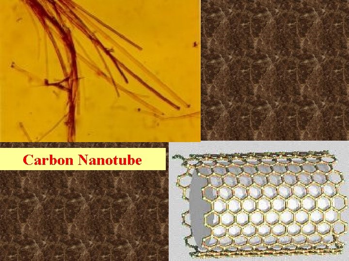 Carbon Nanotube Carbon Nanotube