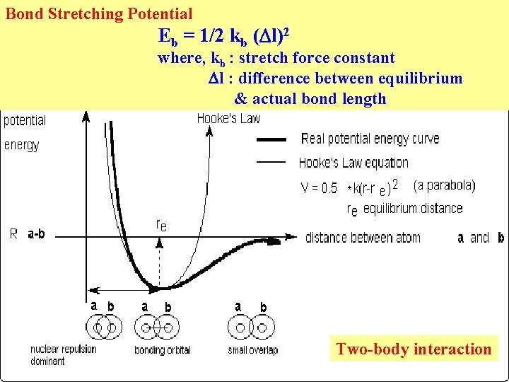 Bond Stretching Potential Eb = 1/2 kb ( l)2 where, kb : stretch force Bond Stretching Potential Eb = 1/2 kb ( l)2 where, kb : stretch force