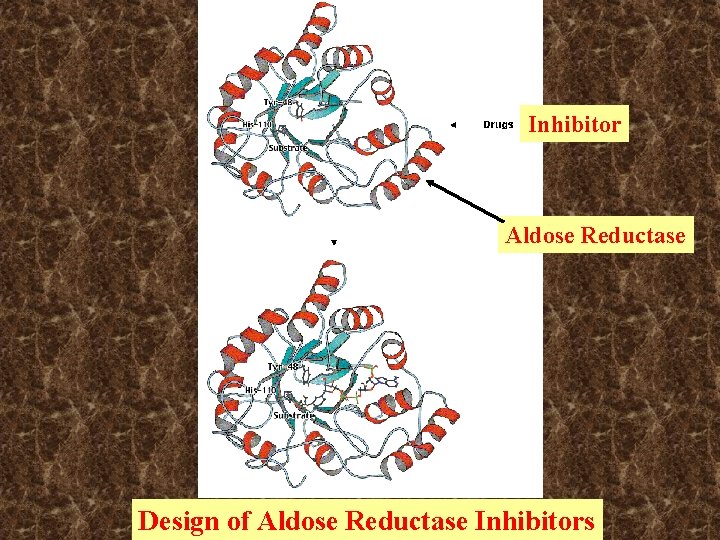 Inhibitor Aldose Reductase Design of Aldose Reductase Inhibitors Inhibitor Aldose Reductase Design of Aldose Reductase Inhibitors