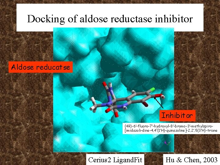 Docking of aldose reductase inhibitor Aldose reducatse Inhibitor (4 R)-6’-fluoro-7’-hydroxyl-8’-bromo-3’-methylspiro[imidazoli-dine-4, 4’(1’H)-quinazoline]-2, 2’, 5(3’H)-trione Cerius