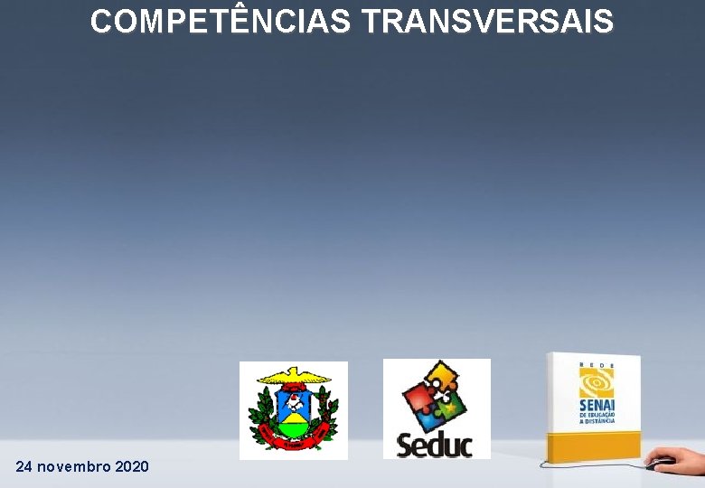 COMPETÊNCIAS TRANSVERSAIS 24 novembro 2020 