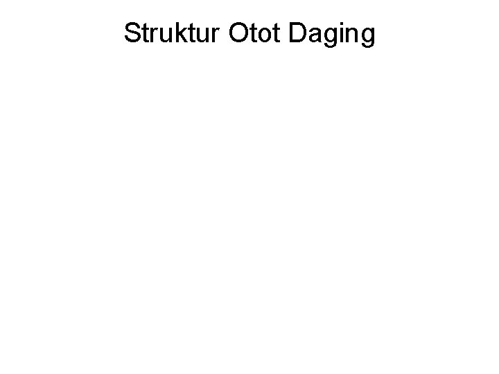 Struktur Otot Daging 