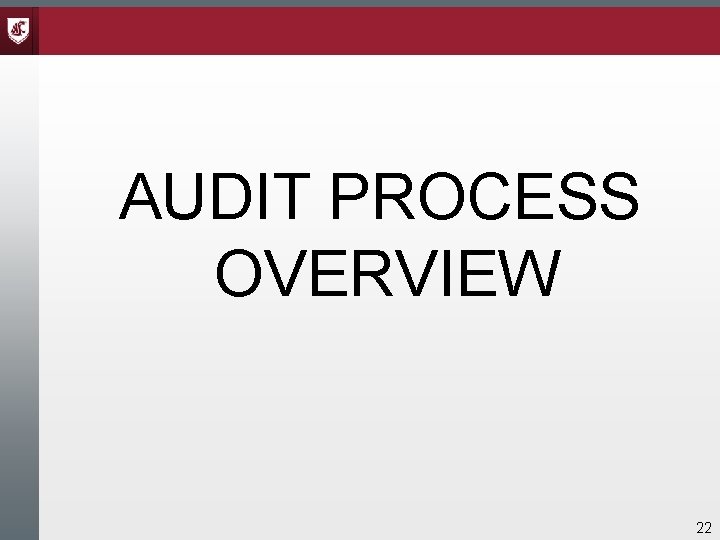 AUDIT PROCESS OVERVIEW 22 AUDIT PROCESS OVERVIEW 22