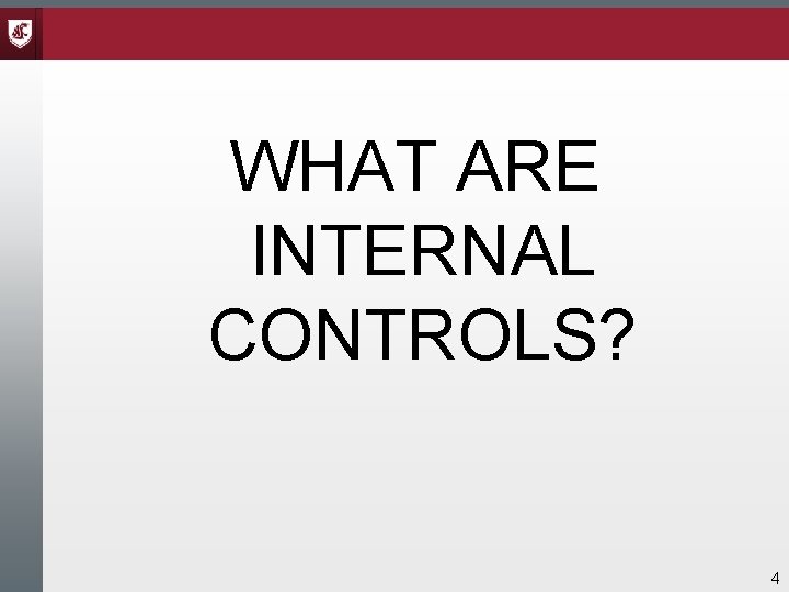 WHAT ARE INTERNAL CONTROLS? 4 WHAT ARE INTERNAL CONTROLS? 4