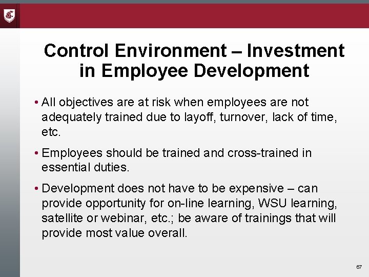 Control Environment – Investment in Employee Development • All objectives are at risk when Control Environment – Investment in Employee Development • All objectives are at risk when