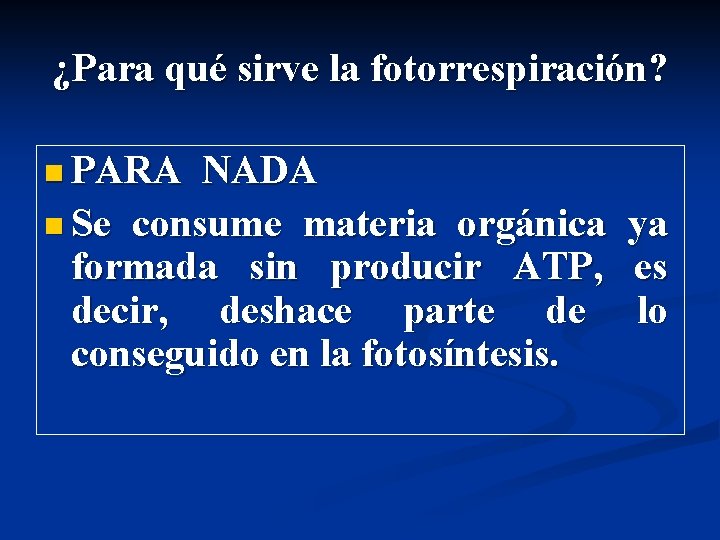 ¿Para qué sirve la fotorrespiración? n PARA NADA n Se consume materia orgánica formada