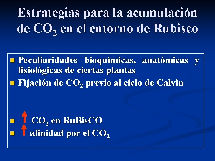 Estrategias para la acumulación de CO 2 en el entorno de Rubisco Peculiaridades bioquímicas,
