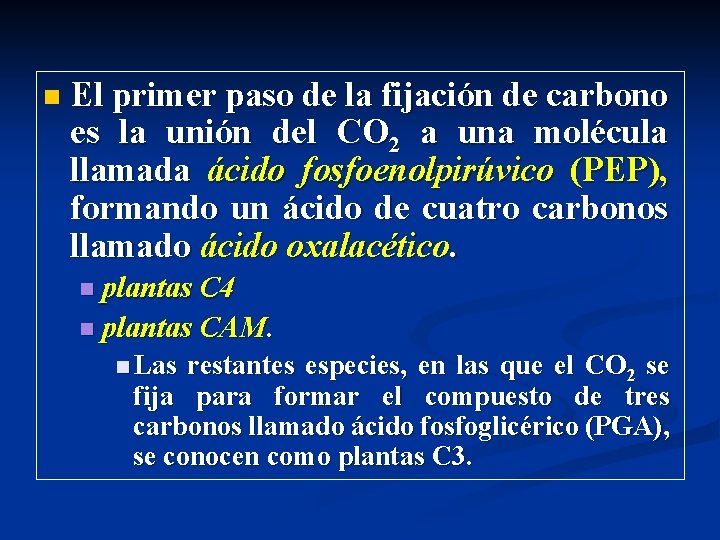 n El primer paso de la fijación de carbono es la unión del CO