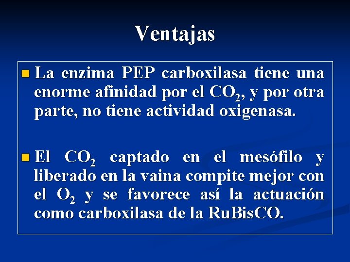 Ventajas n La enzima PEP carboxilasa tiene una enorme afinidad por el CO 2,