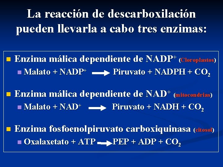 La reacción de descarboxilación pueden llevarla a cabo tres enzimas: n Enzima málica dependiente
