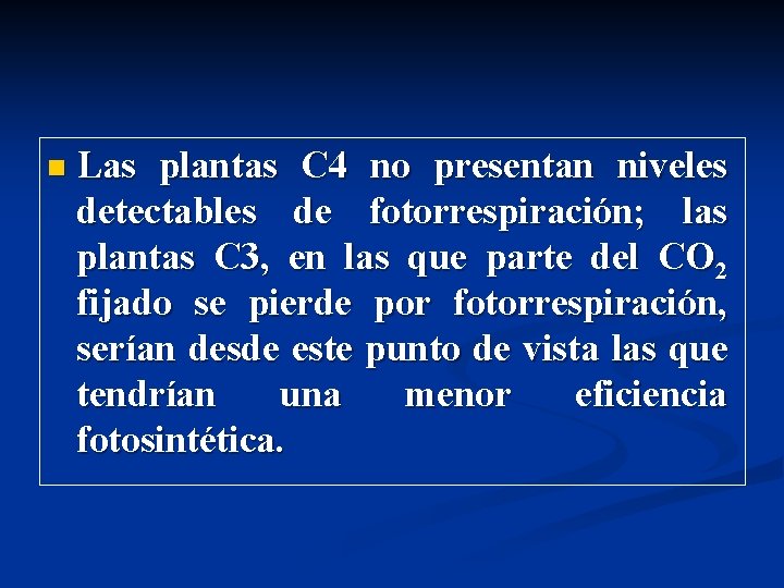 n Las plantas C 4 no presentan niveles detectables de fotorrespiración; las plantas C