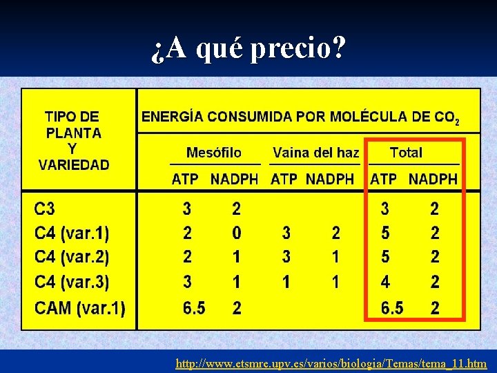 ¿A qué precio? http: //www. etsmre. upv. es/varios/biologia/Temas/tema_11. htm 