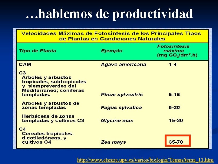 …hablemos de productividad http: //www. etsmre. upv. es/varios/biologia/Temas/tema_11. htm 