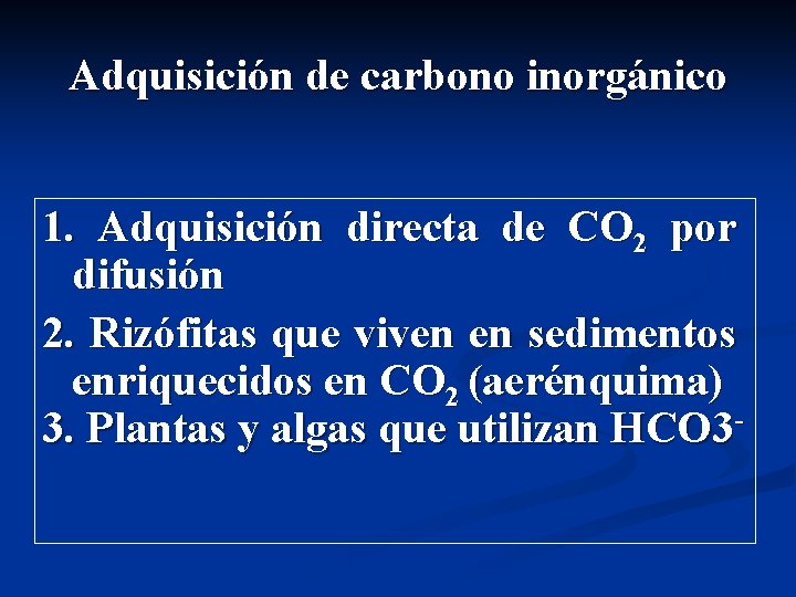 Adquisición de carbono inorgánico 1. Adquisición directa de CO 2 por difusión 2. Rizófitas