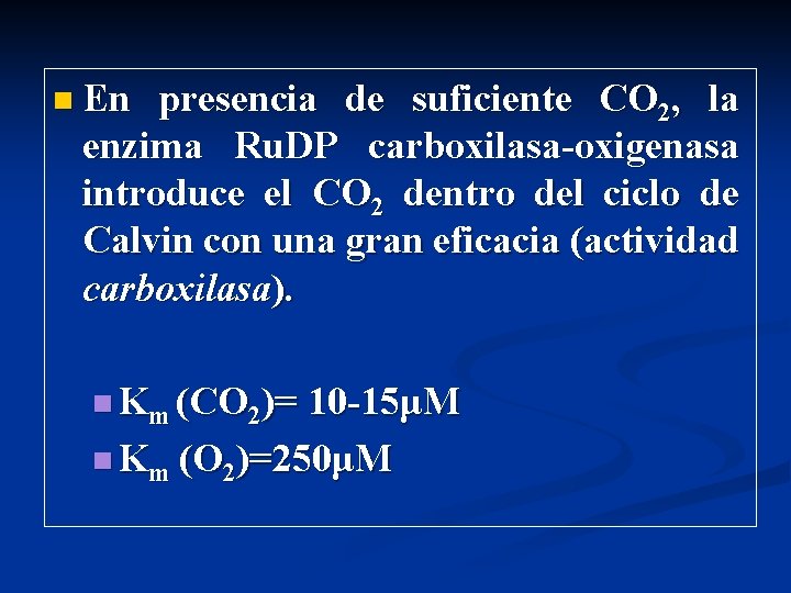 n En presencia de suficiente CO 2, la enzima Ru. DP carboxilasa-oxigenasa introduce el
