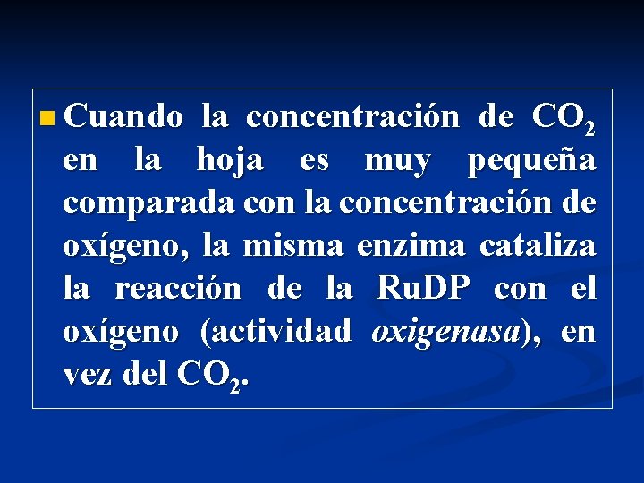 n Cuando la concentración de CO 2 en la hoja es muy pequeña comparada