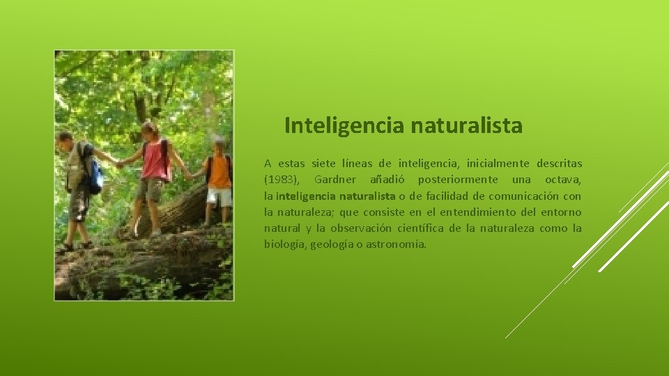 Inteligencia naturalista A estas siete líneas de inteligencia, inicialmente descritas (1983), Gardner añadió posteriormente