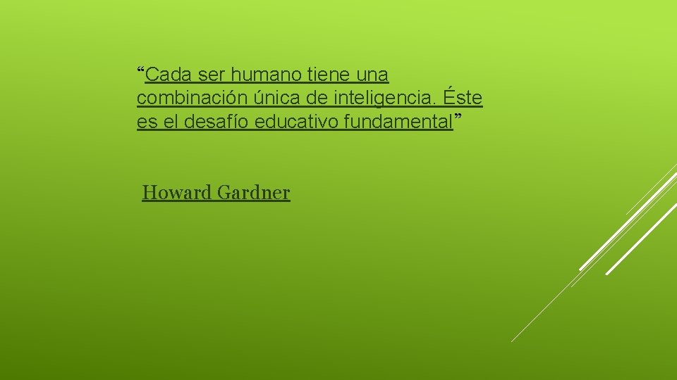 “Cada ser humano tiene una combinación única de inteligencia. Éste es el desafío educativo