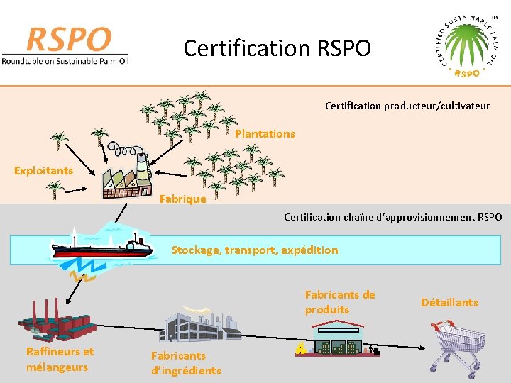 Certification RSPO Certification producteur/cultivateur Plantations Exploitants Fabrique Certification chaîne d’approvisionnement RSPO Stockage, transport, expédition