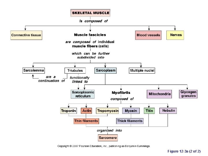 Figure 12 -3 a (2 of 2) 