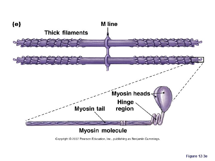 Figure 12 -3 e 