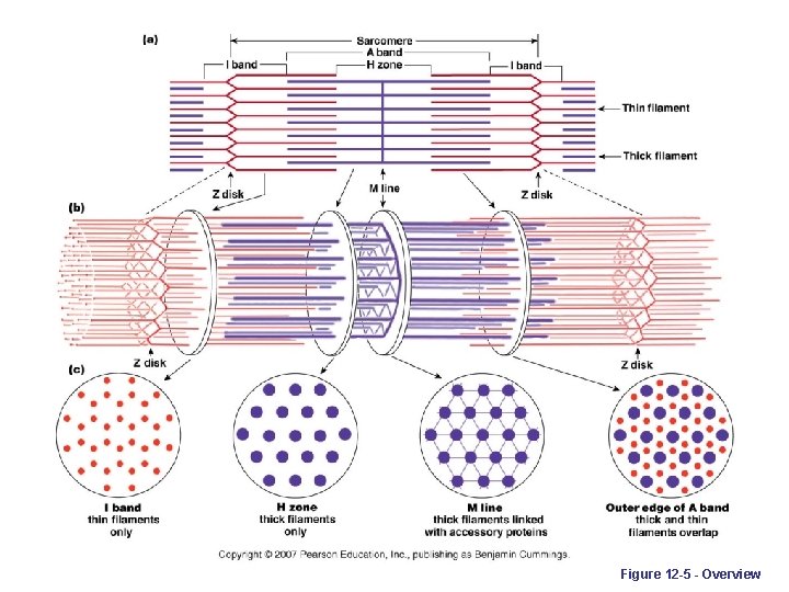 Figure 12 -5 - Overview 