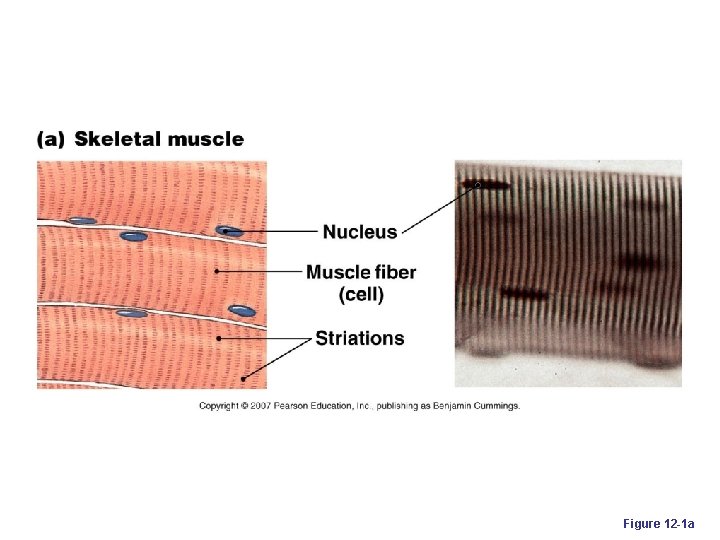 Figure 12 -1 a 