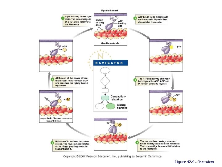 Figure 12 -9 - Overview 