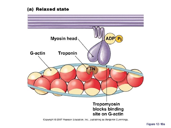 Figure 12 -10 a 