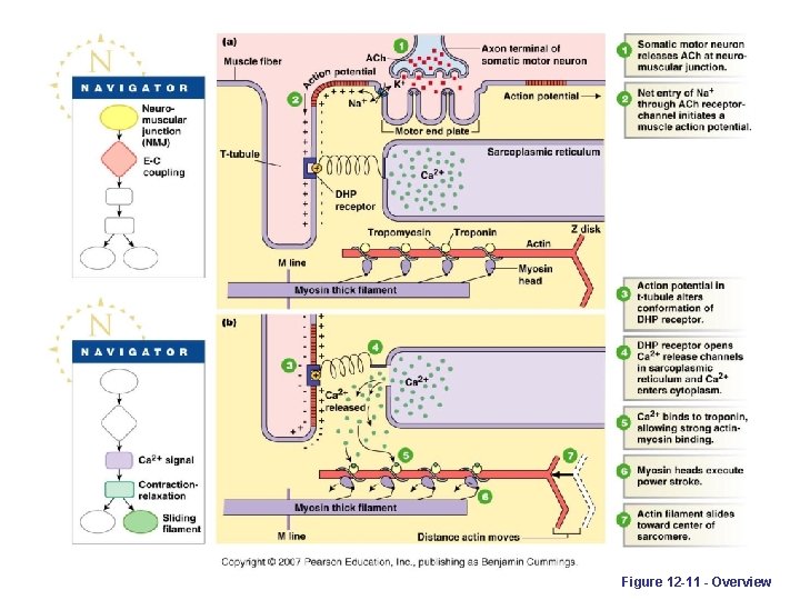 Figure 12 -11 - Overview 