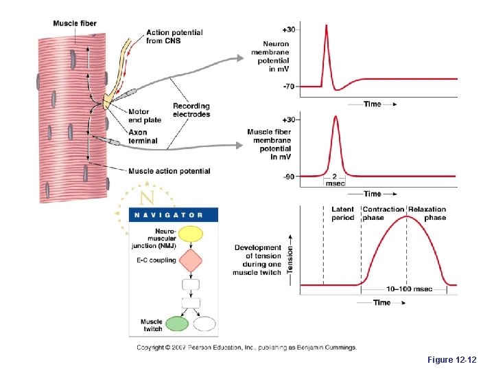 Figure 12 -12 