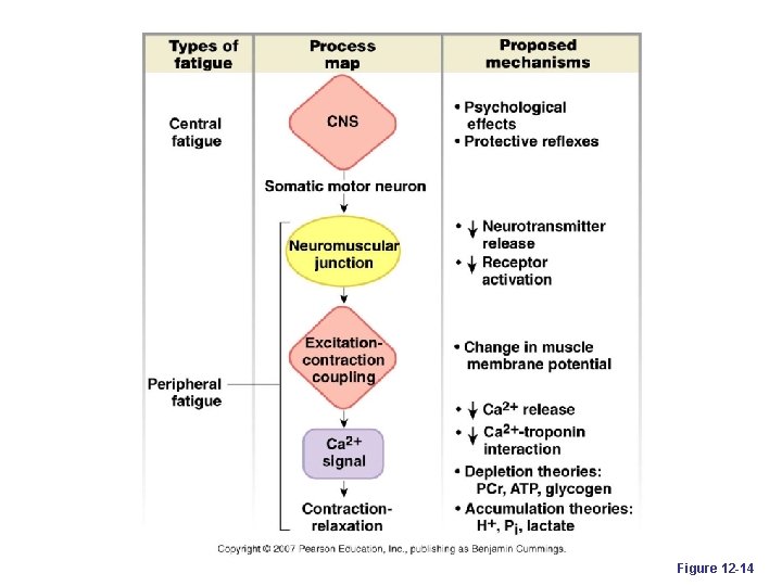 Figure 12 -14 