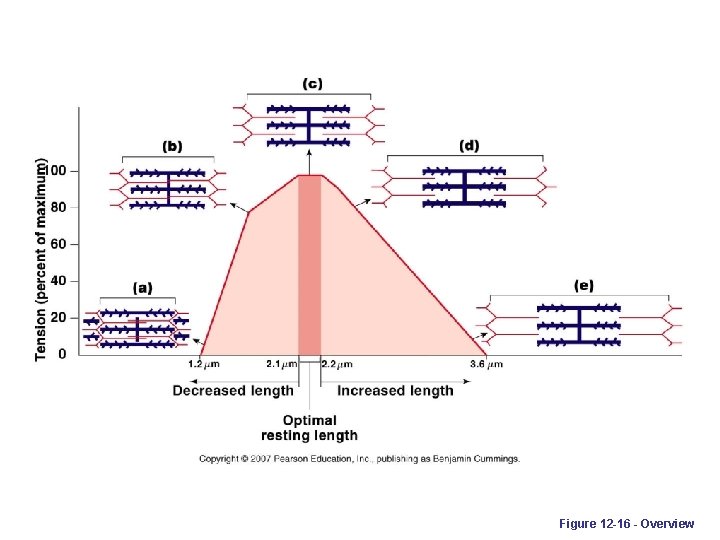 Figure 12 -16 - Overview 