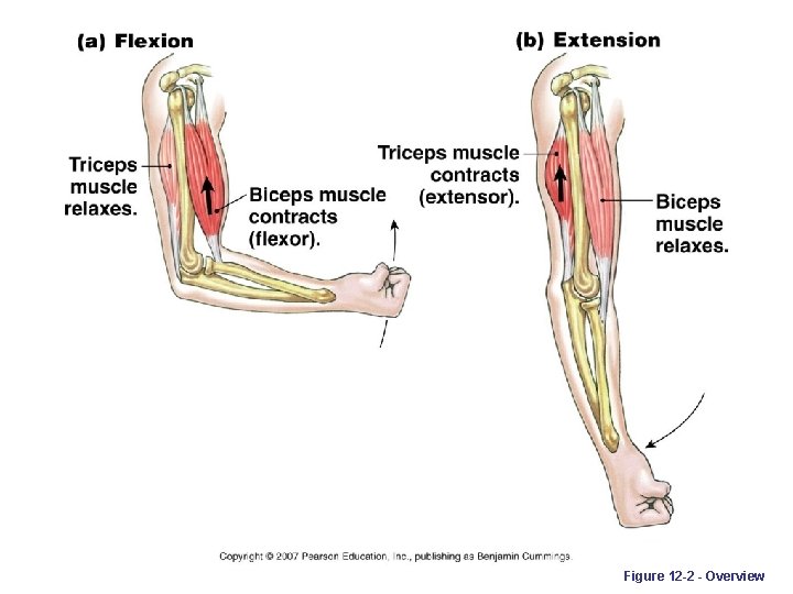 Figure 12 -2 - Overview 