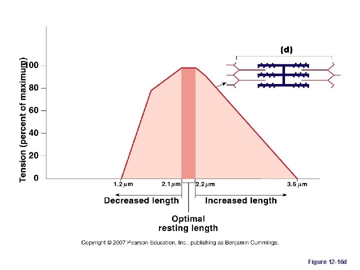 Figure 12 -16 d 