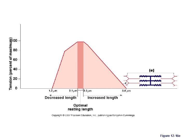 Figure 12 -16 e 