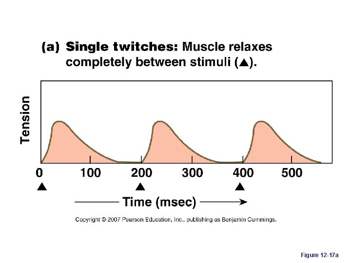 Figure 12 -17 a 