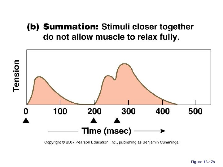 Figure 12 -17 b 