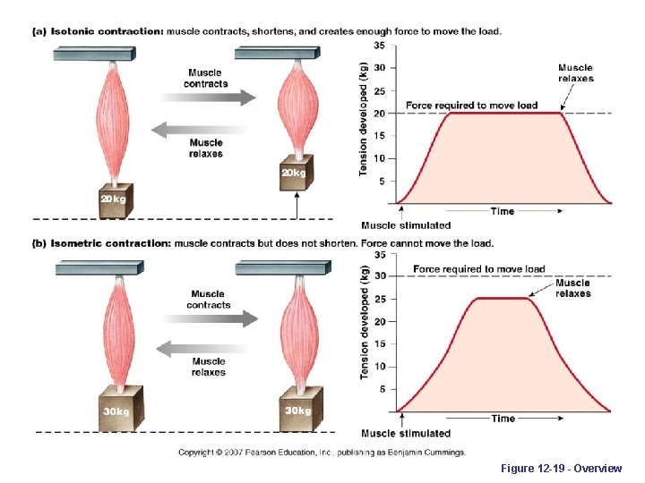 Figure 12 -19 - Overview 