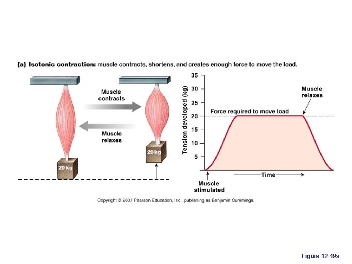 Figure 12 -19 a 