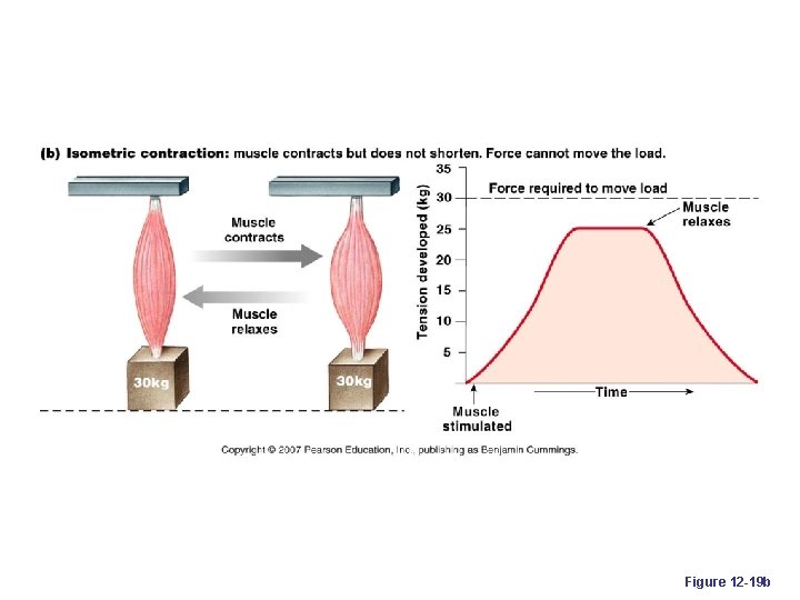 Figure 12 -19 b 