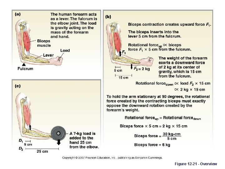 Figure 12 -21 - Overview 